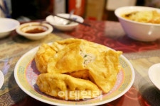 [여행] 떠나자! 샛노란 물결 넘실대는 부산으로