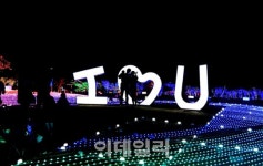 [여행] 떠나자! 샛노란 물결 넘실대는 부산으로