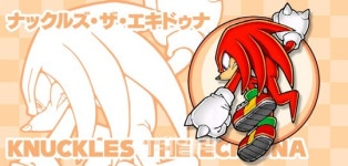 [토이스토리] 탄생 25주년 맞은 고슴도치 소닉 더 헤지호그