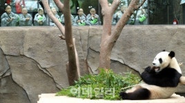 [포토]판다월드 방문한 동자승들