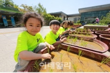 [동네방네]금천구 어린이 농부들, 생애 첫 모내기