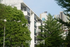 1만가구 동시 재건축에..과천아파트 전셋값 1년새 두배 껑충