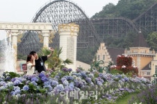 에버랜드에 꽃바다가 펼쳐진다... 그랑블루 가든 개장