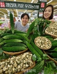 [포토] 당뇨 잡는 도깨비 방망이 여주를 아시나요?3