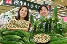 [포토] 당뇨 잡는 도깨비 방망이 여주를 아시나요?4