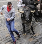 [포토]스페인 소몰이축제, `한 끝 차이란 이런 것…`