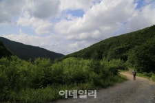[여행] 석탄 나르던 그길 하늘길 되다…강원 정선