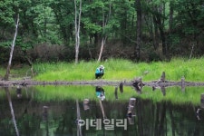 [여행] 석탄 나르던 그길 하늘길 되다…강원 정선