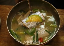 [여행] 다찌·빼떼기죽·충무김밥…통영에 안갈 수 없는 이유