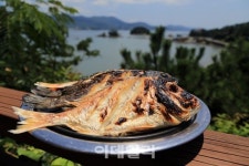 [여행] 다찌·빼떼기죽·충무김밥…통영에 안갈 수 없는 이유