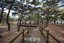 눈이 즐겁고 귀가 호강하는 인천 덕적도