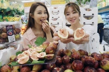 [포토]‘여왕의 과일, 무화과 맛보세요’