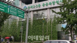 폭염에 열섬현상까지…도심이 더 더운 이유 녹지 부족탓