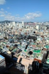 [여행] 묘지 위 지은 집…피란수도 부산 속살 보다