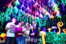 [포토] 2016무주반딧불축제 -반디판타지관람 외국인