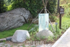 서울시, 용미리묘지에 자연장지 1만200위 추가 조성
