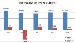 [이기자의 株스토리]금호家 돌아온 금호산업, 그룹 재건 이끌까