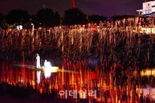 [포토] 2016 무주 반딧불  -안성 낙화놀이