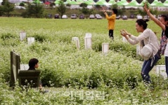 [포토] 강원도 2016평창효석문화제3