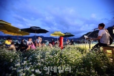 [포토]2016평창효석문화제-3