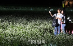 [포토]2016평창효석문화제-4