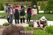 나만의 정원 만들기 어렵지 않아요