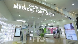 [동네방네]강남구 의료한류 이끈다.. 日관광객과 메디컬토크쇼