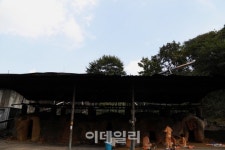 [여행] 섬강따라 가을이 지글지글 익어간다