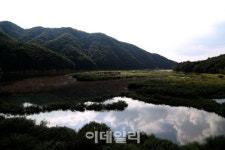 [여행] 섬강따라 가을이 지글지글 익어간다