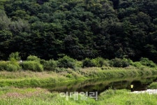 [여행] 섬강따라 가을이 지글지글 익어간다