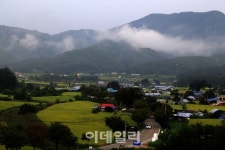 [여행] 섬강따라 가을이 지글지글 익어간다