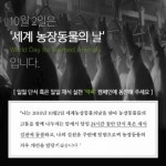 오늘은 채식 세계 농장동물의 날 맞아 1천여명 일일 채식