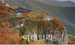 가족과 걷기 좋은 국립공원 단풍길 10곳