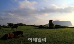 [여행] 삼다도의 가을은 하늘부터 물든다