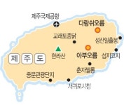 [여행] 삼다도의 가을은 하늘부터 물든다
