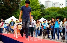 [포토] 행복한 양천 반려견 문화축제