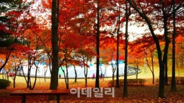 오색으로 물든 서울 단풍길 105選