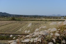 철마 대신 자전거 타고 철책 달린다