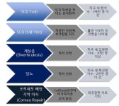 케이피엠테크, 美 엠마우스 신약 파이프라인 가치 주목