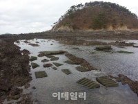 부활한 충남 태안군 곰섬자율관리어업공동체, 대통령 표창
