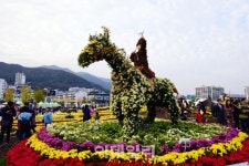 [포토]제16회 마산가고파국화축제