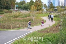 [동네방네]서초구 양재천 아시아 최고 생태하천