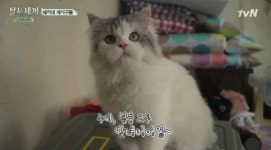 [‘삼시-어촌편3’를 보자]③귱인턴 윤균상의 미생