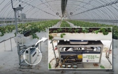 ETRI 인공지능, 로라망 타고 전남 딸기 농원에 적용