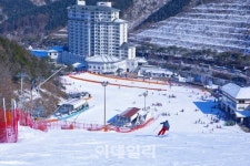 [여행+] 눈의 계절 돌아왔다…엘리시안강촌 스키장 개장