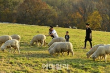 [여행+] 부산 원도심·봉화 산타마을 등 관광의 별 달다
