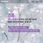 [카드뉴스] 쯤이 맞을까, 즈음이 맞을까? 쯤과 즈음의 올바른 사용법