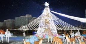 고양호수꽃빛축제 일산 호수공원서 16일 개막