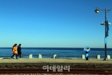 [여행] 차가운 파도가 벗…강릉 겨울바다서 위로받다