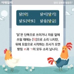[카드뉴스] 2017년은 닭의 해, 정확히 발음해보자
